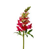 Snapdragon Flower Stems 23" - Dark Pink | The Shops at Colonial Williamsburg