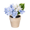 Mini Potted Blue Hydrangea Flower Arrangement 7" | The Shops at Colonial Williamsburg