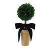 Preserved Boxwood Topiary Tree in Terracotta Pot with Navy Velvet Bow | The Shops at Colonial Williamsburg