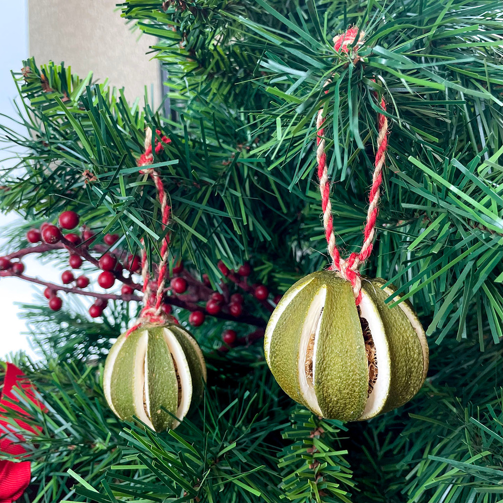 Preserved Lime Ornaments | The Shops at Colonial Williamsburg