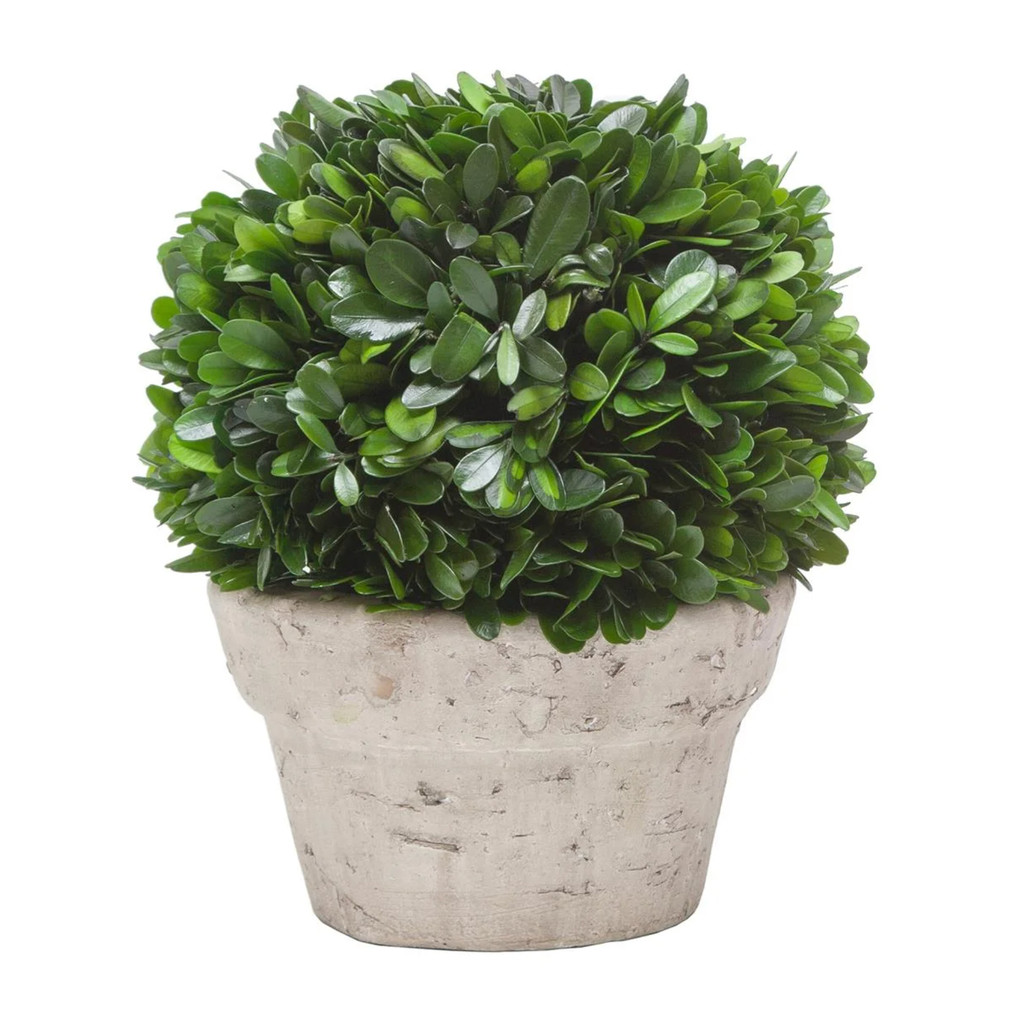 Potted Faux Boxwood Plant 9" | The Shops at Colonial Williamsburg