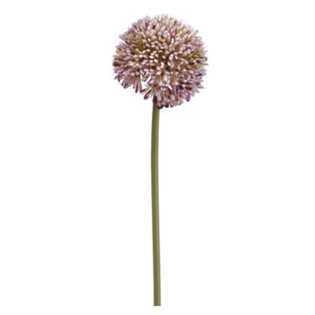 Allium Spray - 17.5" | The Shops at Colonial Williamsburg