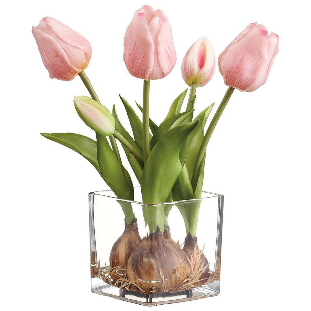 Tulips with Bulbs in a Glass Vase - Pink | The Shops at Colonial Williamsburg