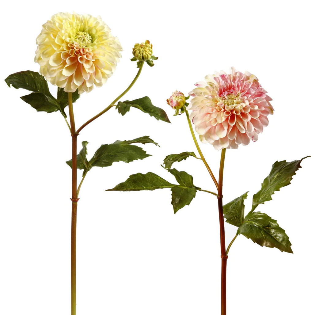 Dahlia Floral Stem 20