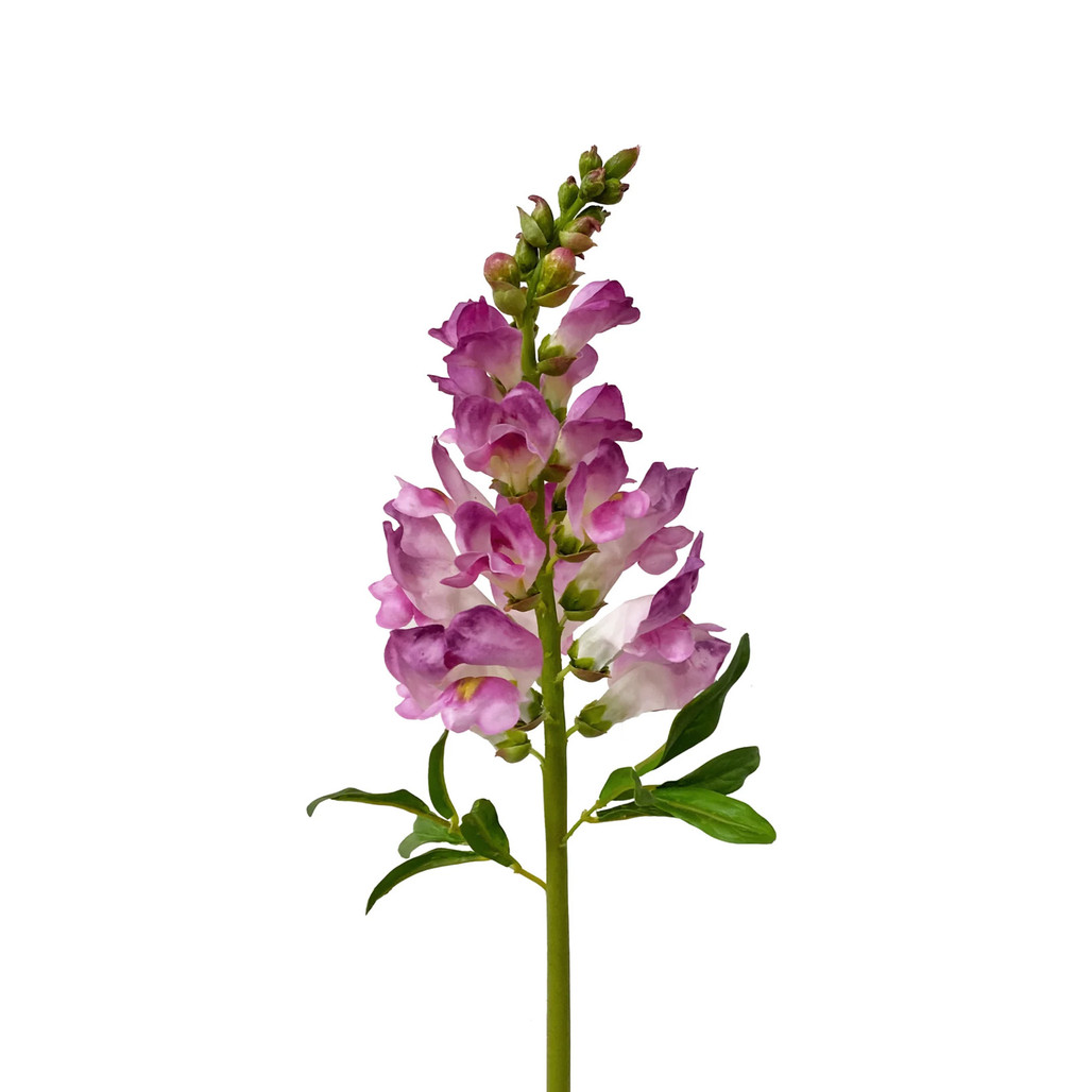 Snapdragon Flower Stems 23" - Fuchsia | The Shops at Colonial Williamsburg