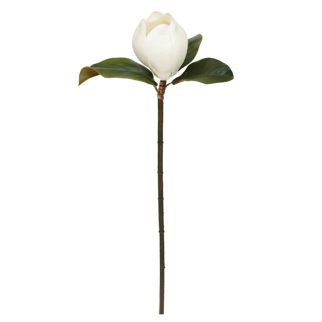 Magnolia Bud Stem 24" H | The Shops at Colonial Williamsburg