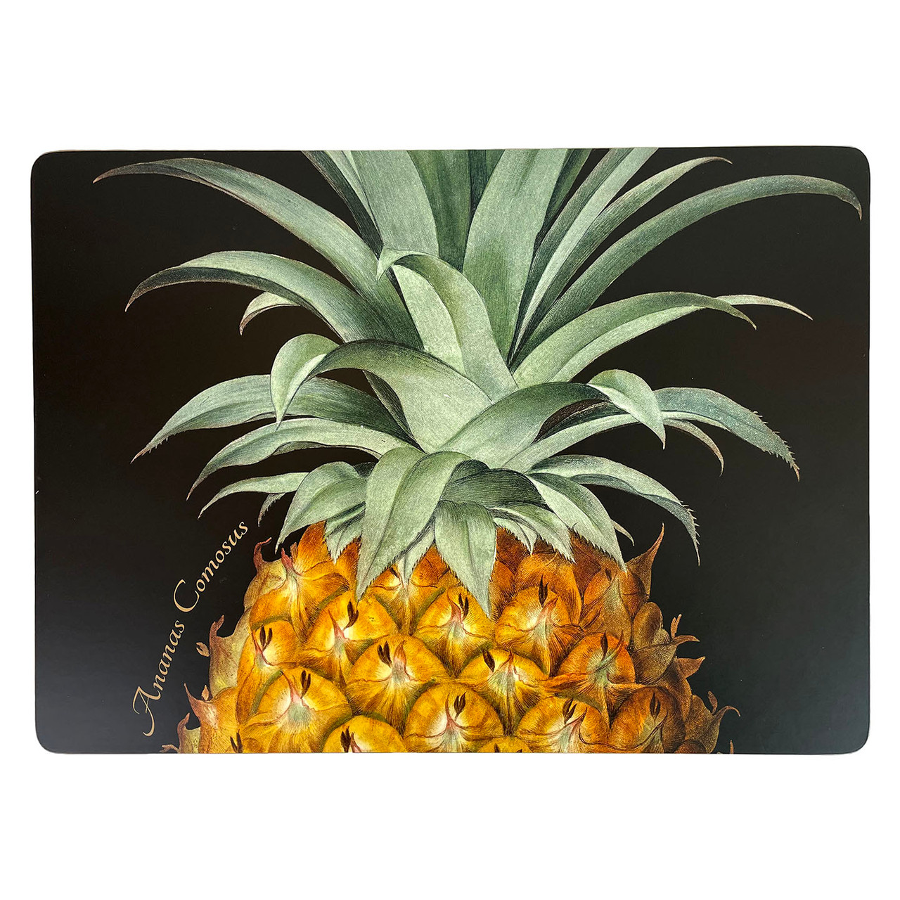 Pineapple Hardboard Placemats