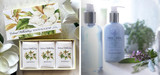 Picture of Magnolia Soap Set and Williamsburg Spa Bath Products