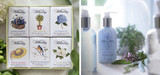 Picture of Colonial Williamsburg spring soap set and Williamsburg Spa bath luxury products.