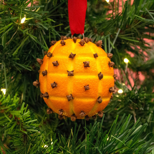 Orange Clove Ornament Kit | The Shops at Colonial Williamsburg