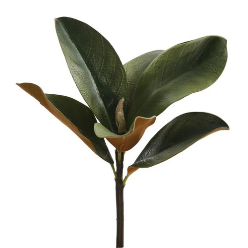 Magnolia Leaf Pick - 11.5" | The Shops at Colonial Williamsburg