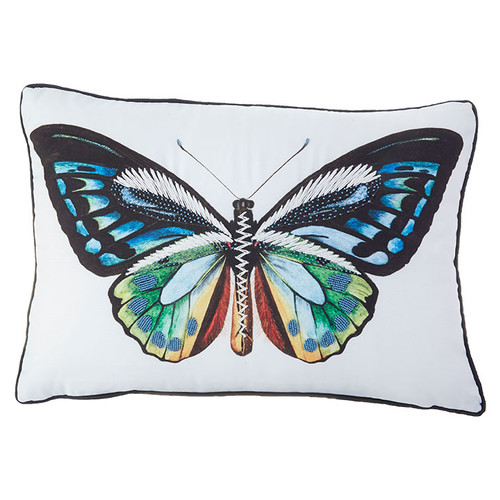 butterfly pillow