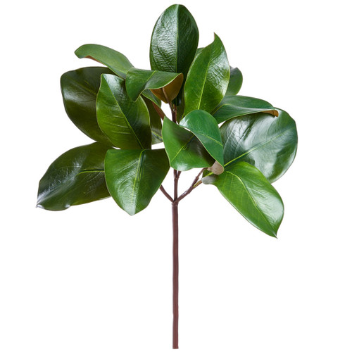 Magnolia Leaf Pick 16" | The Shops at Colonial Williamsburg