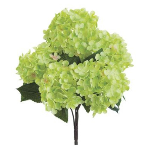 Green Hydrangea Bush - 17" | The Shops at Colonial Williamsburg