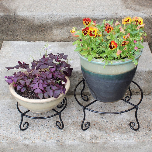 Wrought Iron Piazza Plant Stand | The Shops at Colonial Williamsburg