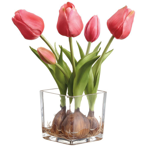 Tulips with Bulbs in a Glass Vase - Fuchsia | The Shops at Colonial Williamsburg