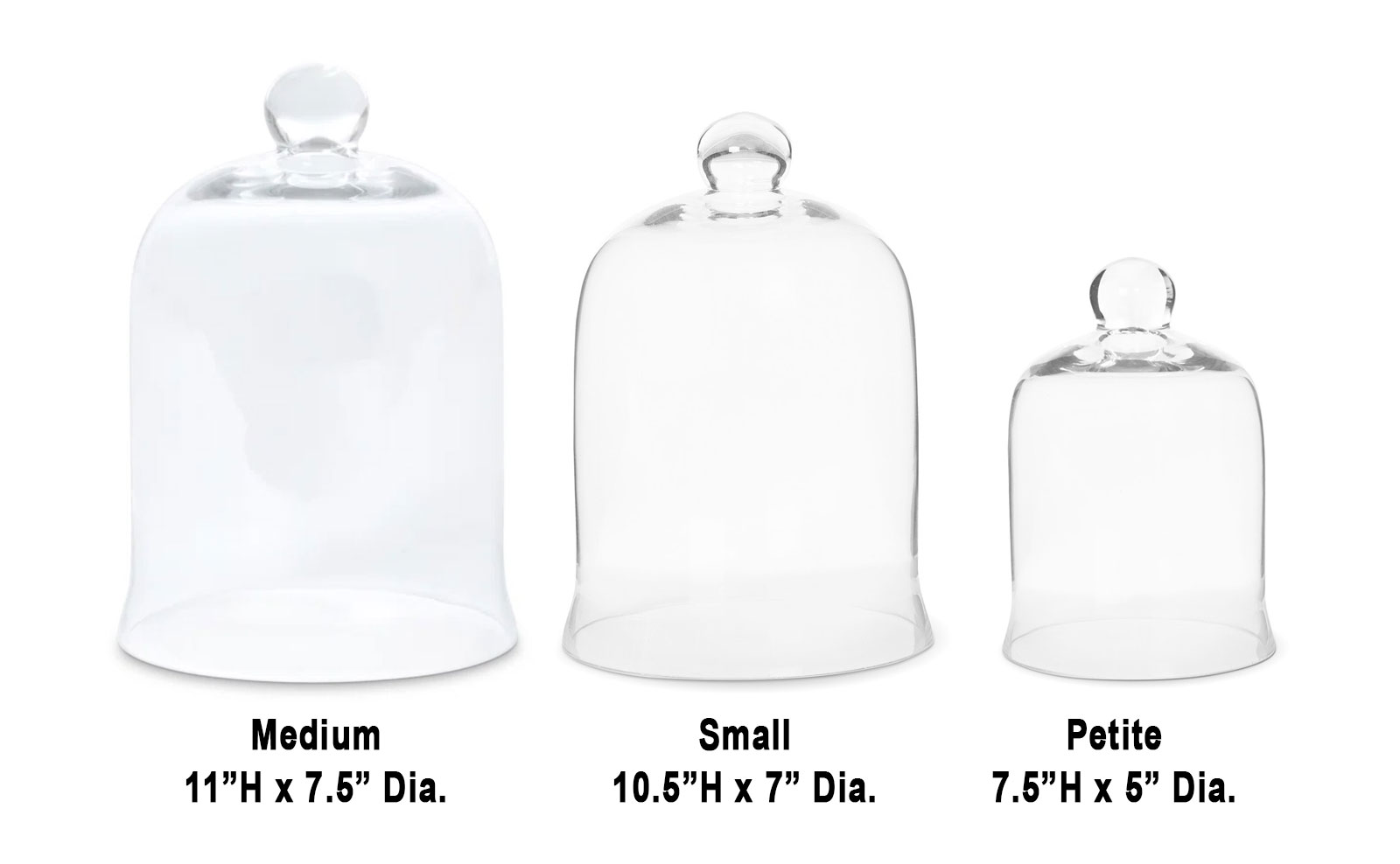 Glass Bell Jars Size Comparison