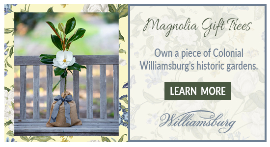 Magnolia Gift Trees - Own a piece of Colonial Williamsburg's historic gardens. Click to learn more.