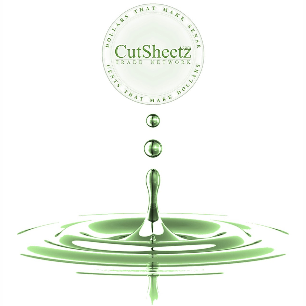 SUSTAINABLE SOLUTIONS NETWORK