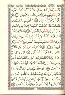 Quran Tajweed Uthmani Script 15 line Glossy Pages