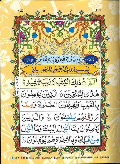 Quran Color Coded Tajweed Glossy Paper Majeedi Script 13 Lines Large size
