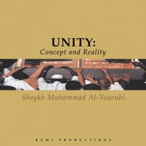 Unity: Concept & Reality