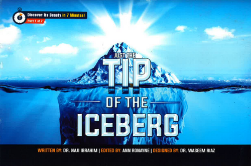 Just the Tip of the Iceberg Booklet