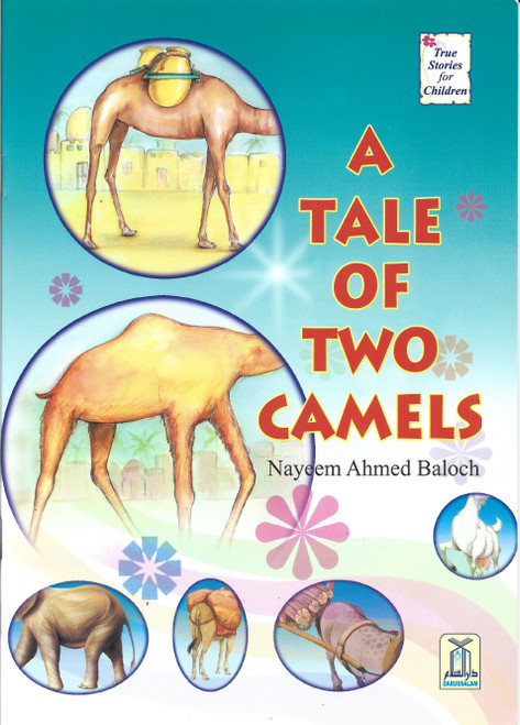 A Tale of two Camels