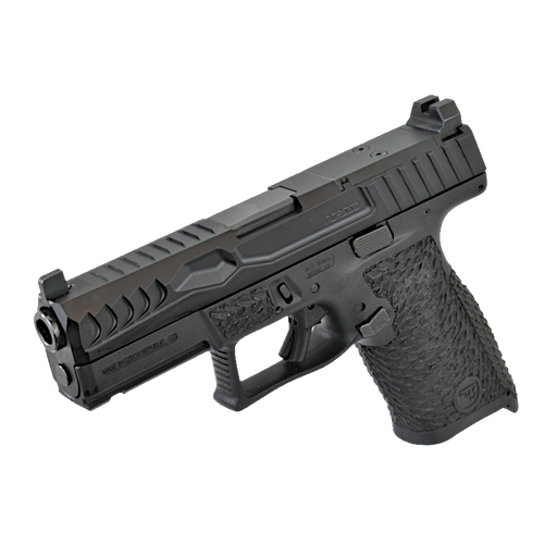 P-10C R2 Reptile EDC