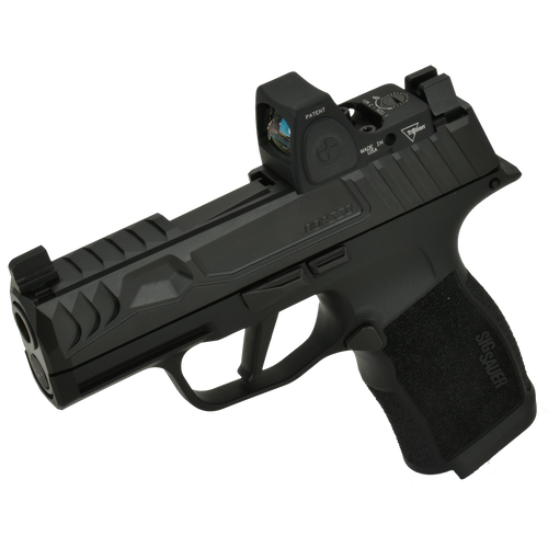 P365 Reptile EDC RMRcc Black DLC Build 1 P365 Reptile EDC RMRcc Black DLC Build 1