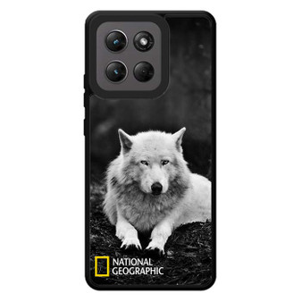National Geographic Fox Motorola Moto G Stylus 2026 Case
