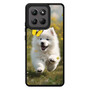 Cute puppy catching butterfly Motorola Moto G Stylus 2026 Case