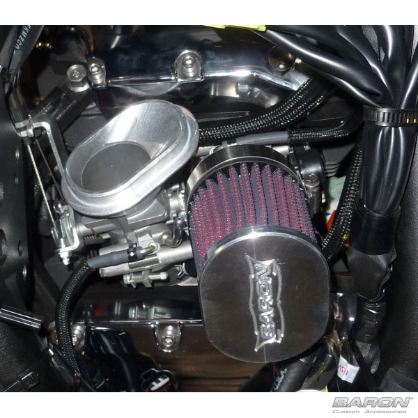 Baron Stealth Intake Kit For Yamaha Roadliner, Stratoliner, Raider