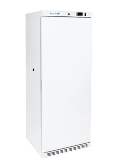 10 Cu. Ft. Solid Door Upright Freezer