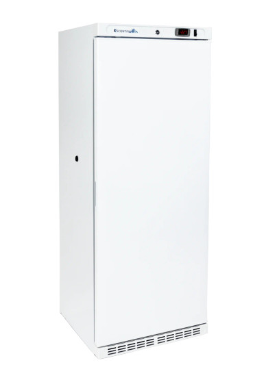10 Cu. Ft. Solid Door Upright Freezer