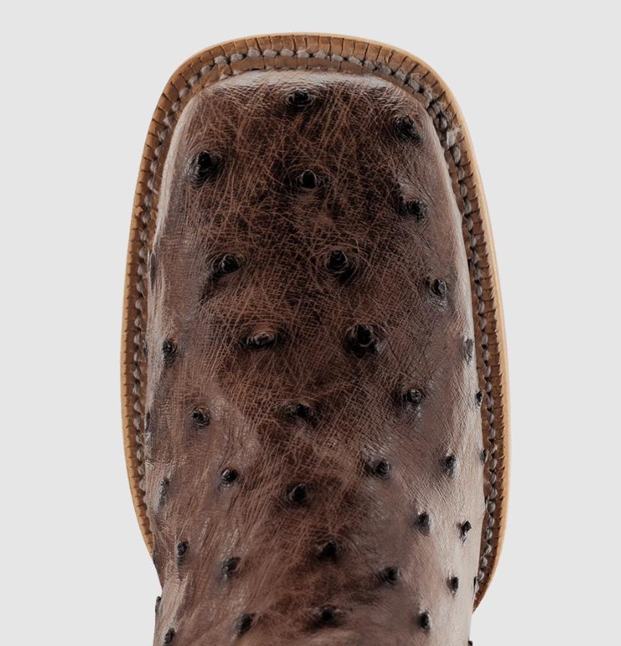 パンツ Watson Boss Up NUBIAN R. Watson® Men's Kango Tobac FQ Ostrich Square Toe Boots