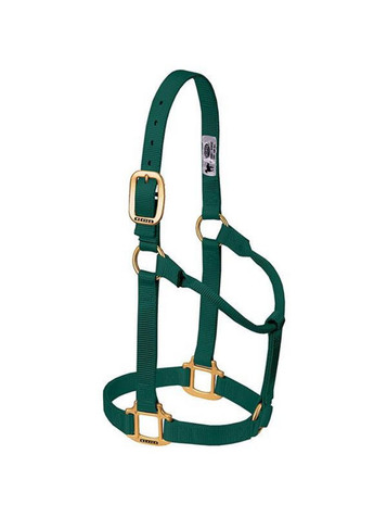 Weaver® Original Non-Adjustable Halter, 1" Average Horse Weaver® Original Non-Adjustable Halter, 1" Average Horse