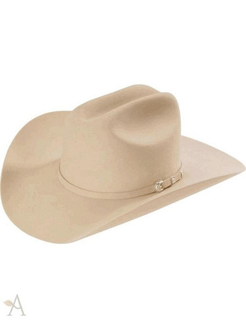 StetsonÂ® Skyline 6X Fur Felt Silverbelly Hat