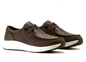 Ariat® Men's Dark Ostrich Print Buckeye WP Casual Shoes