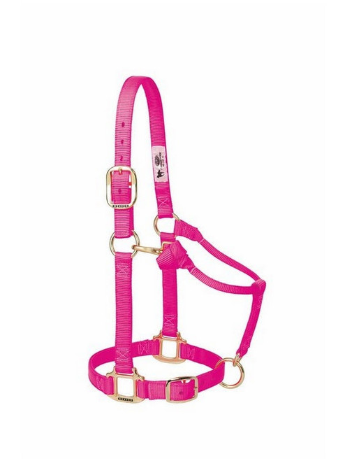 Padded Adjustable Chin & Throat Snap Horse Halter from Weaver Leather.