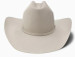 Resistol® 6X Midnight 4.25" Brim Cowboy Hat in Silver Belly