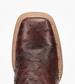 Dan Post® Men's Chocolate/Tan Full Quill Ostrich Drayden Square Toe Boots