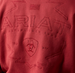 Ariat® Men's L/S Brick Red Archstar Hoodie