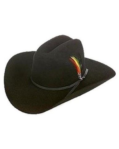 Stetson® Black Roper 6X Fur Felt Hat