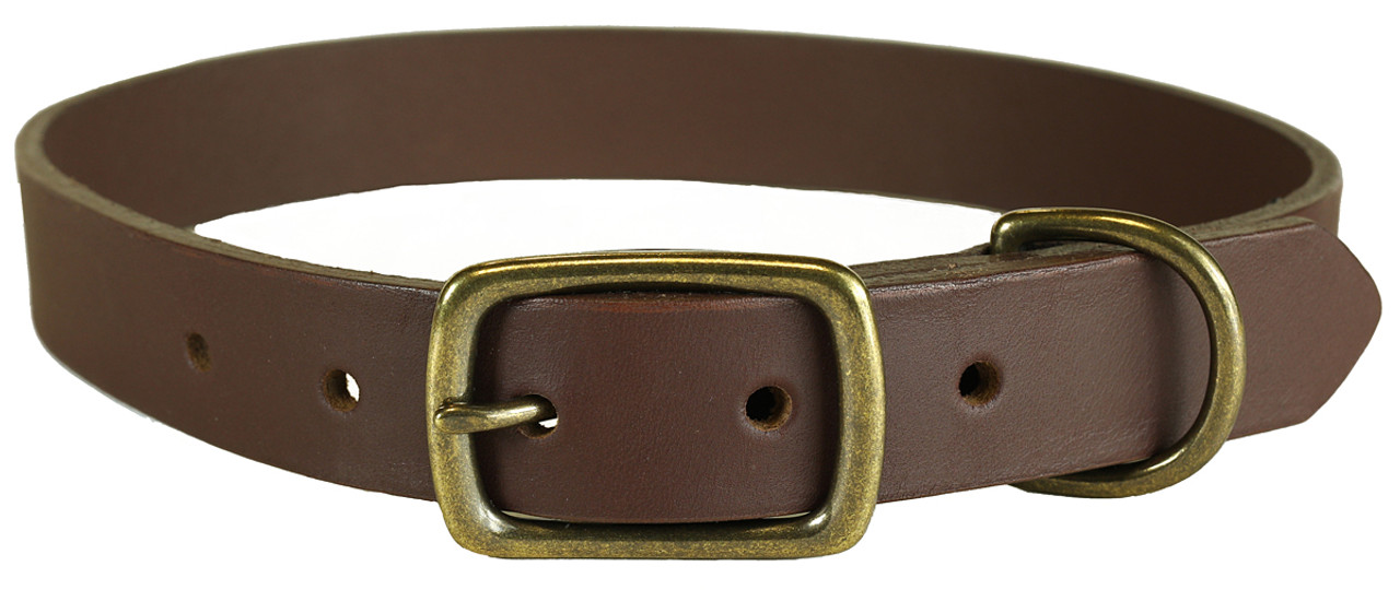 Chili Pepper Cactus Dog Collar  1 Inch by Belted Cow Company. Maine In  Maine