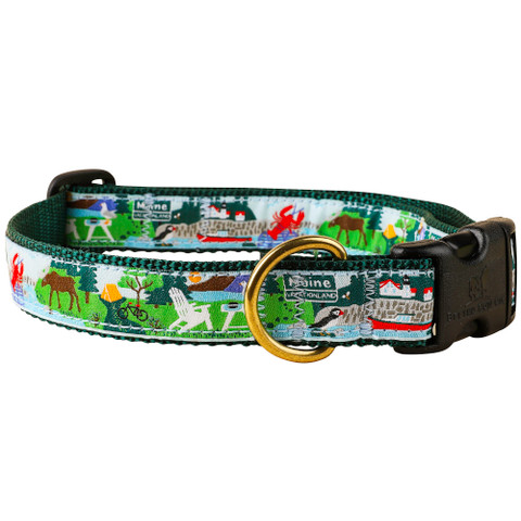 Chili Pepper Cactus Dog Collar  1 Inch by Belted Cow Company. Maine In  Maine