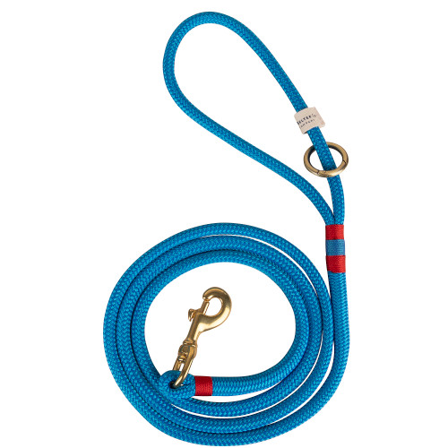Maine Dock Line Dog Lead in Light Blue with Red Trim