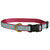 Aqua Starfish 5/8" Dog Collar