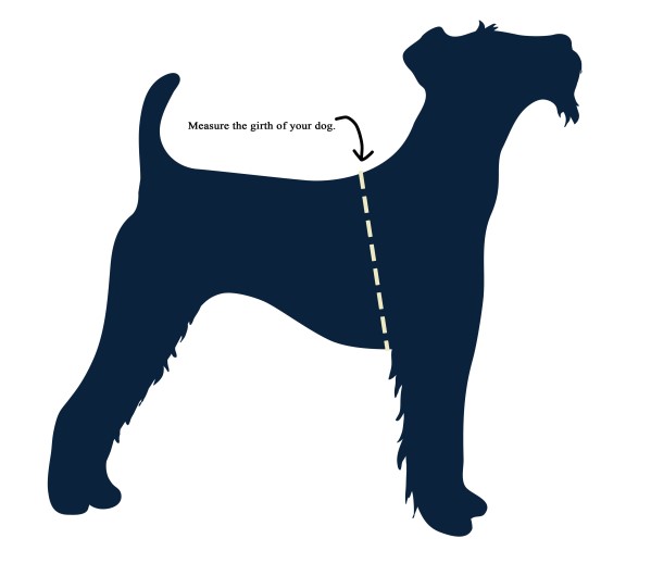 dog-harness-measurement-guide-1.jpg