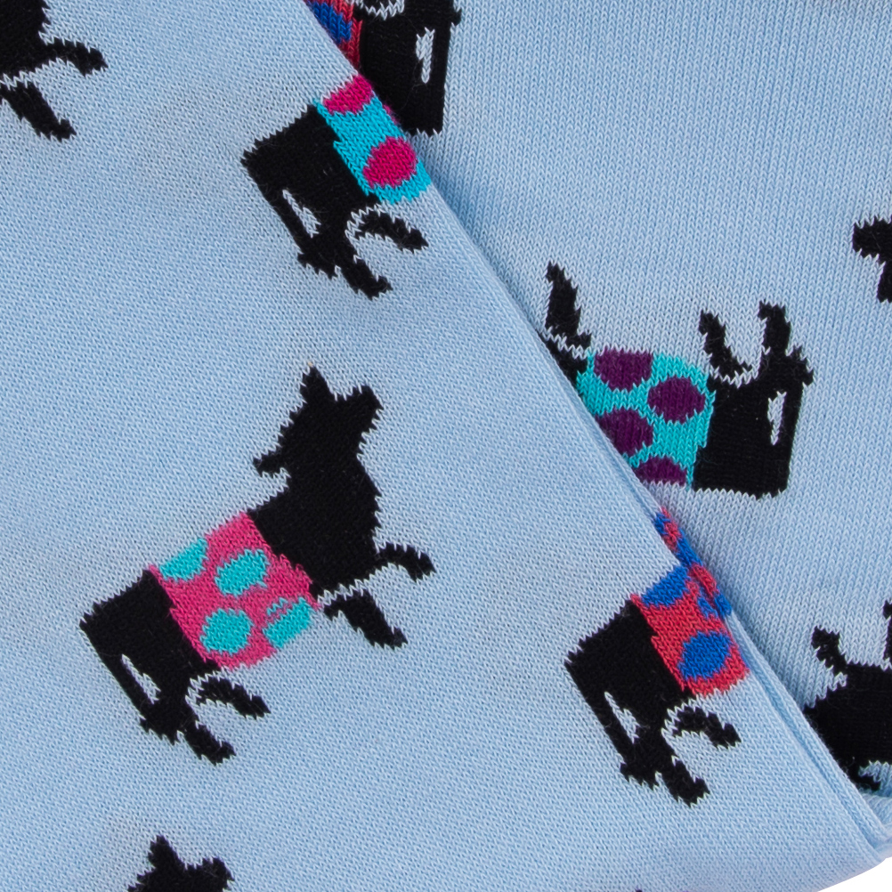 sock-beltie-blue-3.jpg